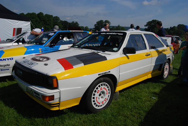 Rally Show 2008 (1014)