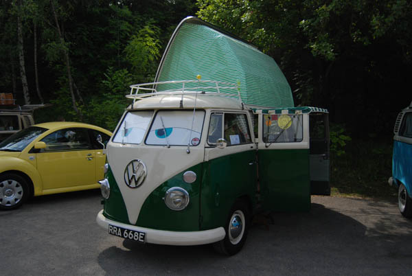 Crich Bug Fest (1004)