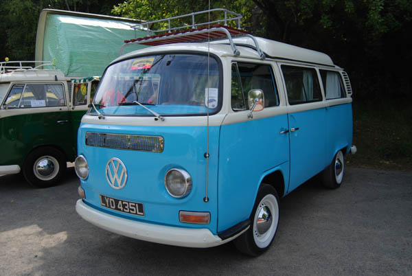 Crich Bug Fest (1006)