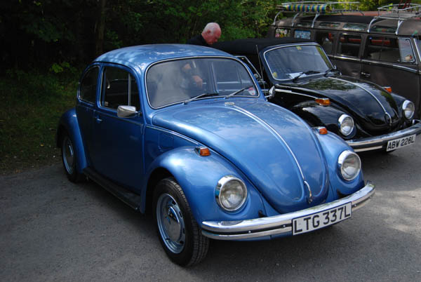 Crich Bug Fest (1007)