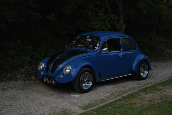 Crich Bug Fest (1017)