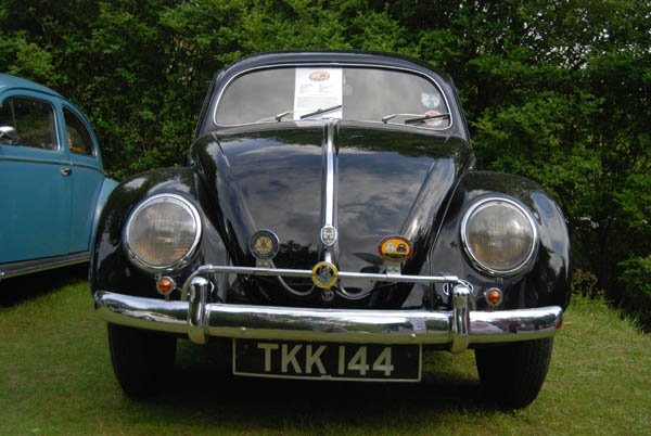 Crich Bug Fest (1018)