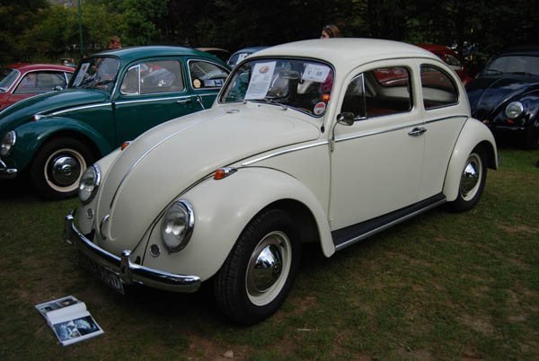 Crich Bug Fest (1019)