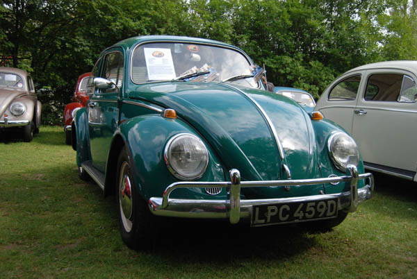 Crich Bug Fest (1023)