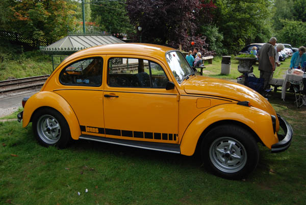 Crich Bug Fest (1026)