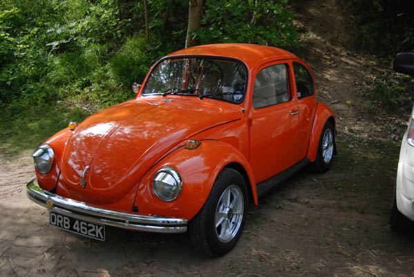 Crich Bug Fest (1029)