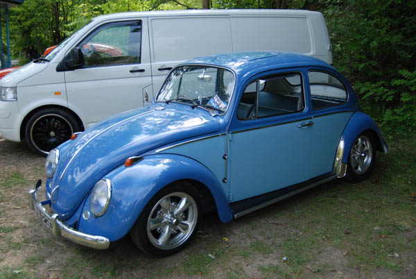 Crich Bug Fest (1031)