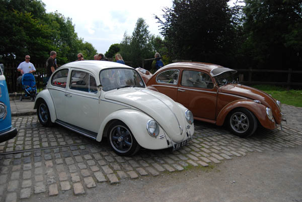 Crich Bug Fest (1041)