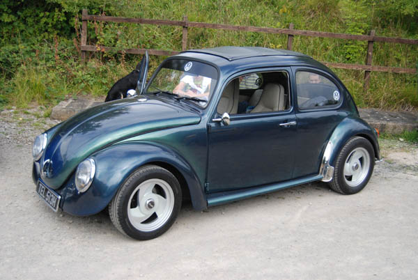 Crich Bug Fest (1042)