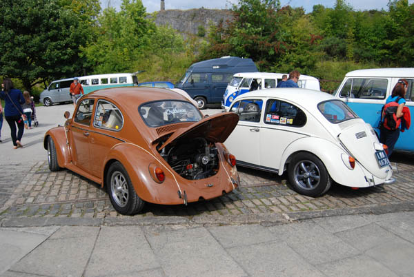 Crich Bug Fest (1044)