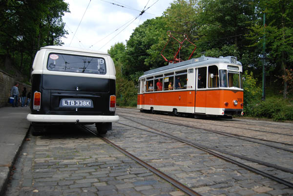 Crich Bug Fest (1045)