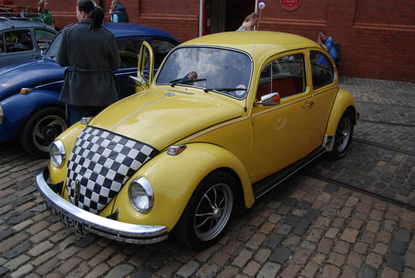 Crich Bug Fest (1051)