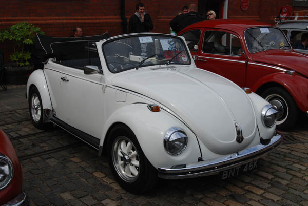 Crich Bug Fest (1054)