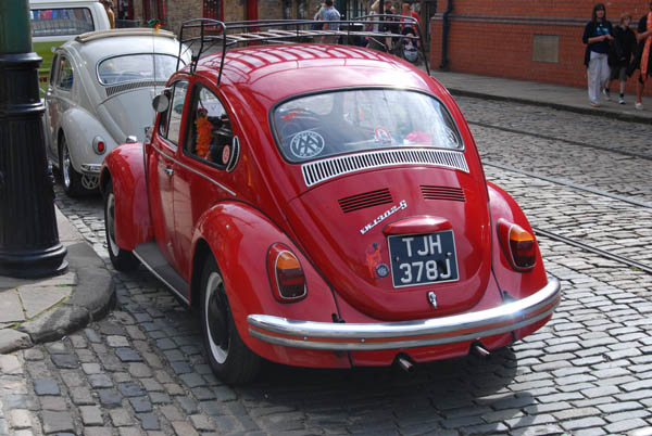 Crich Bug Fest (1079)