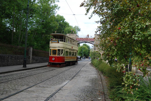 Crich Bug Fest (1085)