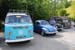 Crich Bug Fest (1005)