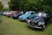 Crich Bug Fest (1016)