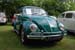 Crich Bug Fest (1023)