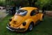 Crich Bug Fest (1027)