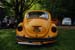 Crich Bug Fest (1028)