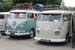 Crich Bug Fest (1068)