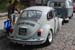 Crich Bug Fest (1081)