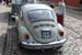 Crich Bug Fest (1082)